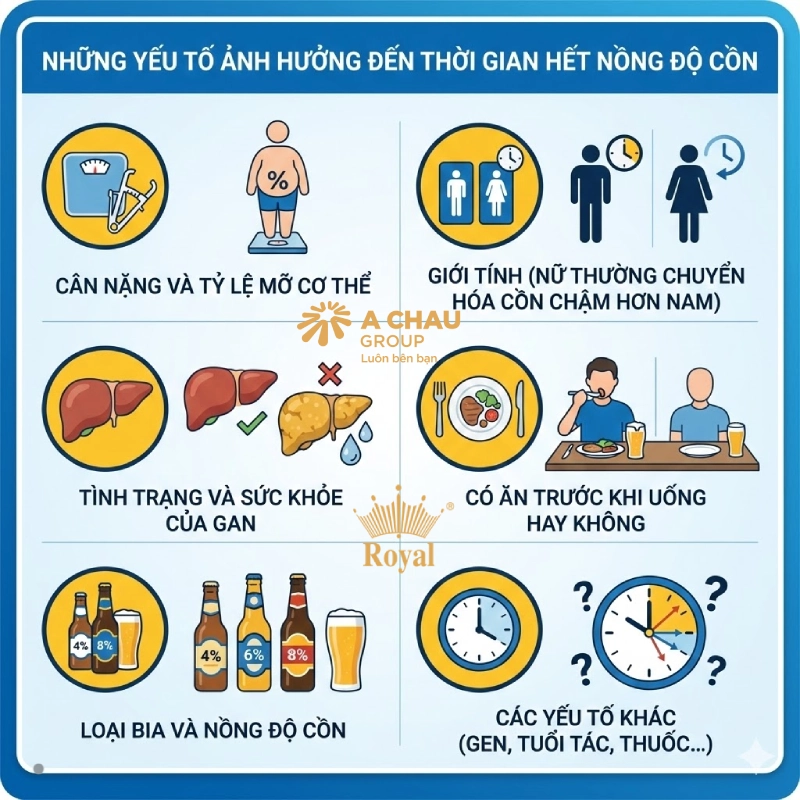 Những yếu tố ảnh hưởng đến thời gian hết nồng độ cồn